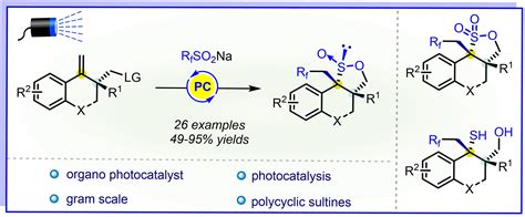 Photoinduced Synthesis of Polycyclic γSultines by a RadicalPolar