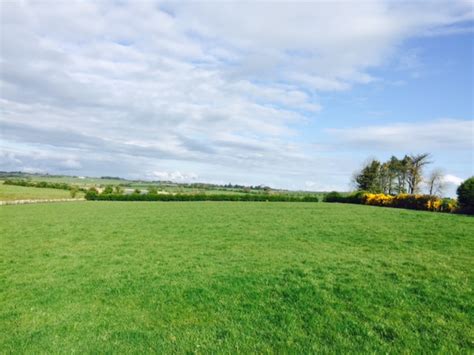 Top Tips For Better Grass Management This July Teagasc Agrilandie