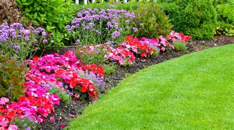 How To Start A Flower Garden From Scratch 7 Expert Tips