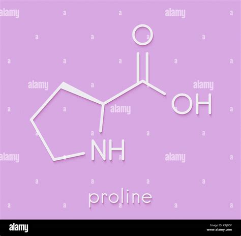 Proline L Proline Pro Amino Acid Molecule Skeletal Formula Stock