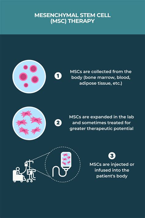 Stem Cell Therapy And Ms Multiple Sclerosis News Today