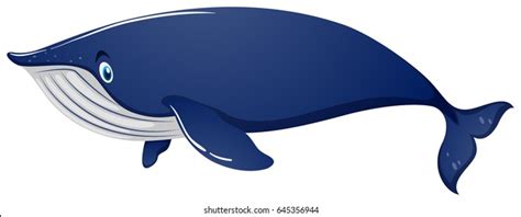 8,031 Whale Clipart Images, Stock Photos, 3D objects, & Vectors ...