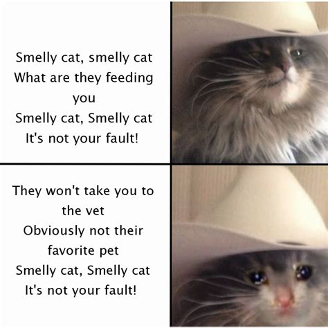 Smelly cat, smelly cat What are they feeding you Smelly cat, Smelly cat ...