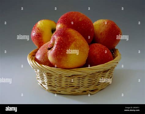 Apples In A Basket Gala And Elstar Stock Photo Alamy