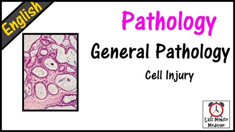 Pathology 02 Cell Injury YouTube