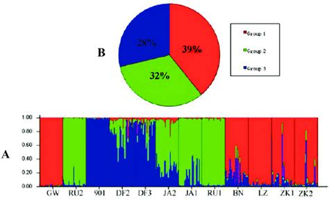 Population Genetic Structure Analysis With Software Structure A