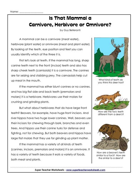 Herbivores Carnivores And Omnivores Worksheets