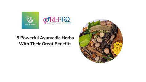 8 Powerful Ayurvedic Herbs With Their Great Benefits Aayush Bharat Blog