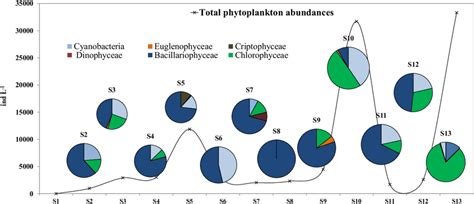 Spatial Dynamics Of Phytoplankton Abundance Values And Composition