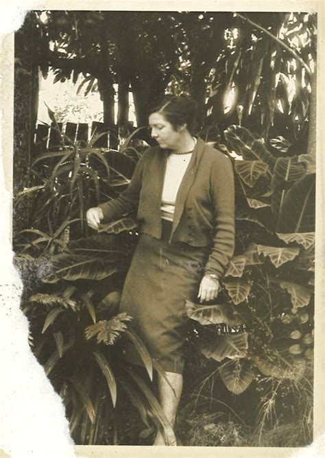 Audio Guides Margaret Olley The Art Of Flowers Tweed Regional Gallery