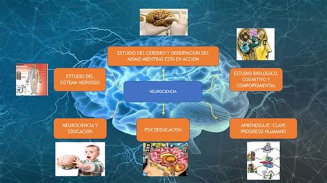 Lectura 1 Grupo 3 Neurociencia PPT