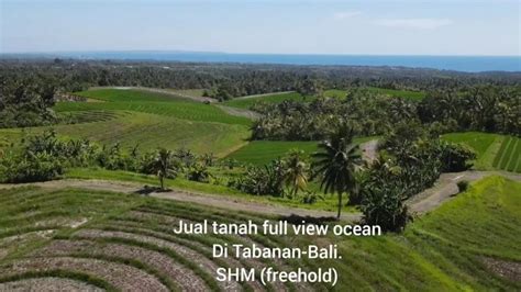 Tanah Full View Laut Abadi Dan Terasering Sawah Akses Jalan Meter