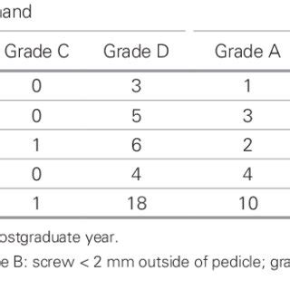 Computed Tomography Scan Example Of Screw Placement Accuracy For Each