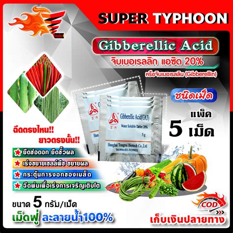 จบเบอเรลลน Gibberellin จบเบอเรลลก แอซด ชนดเมด Gibberellic Acid