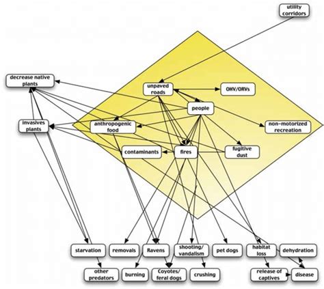 5 A Much More Complex Web Showing The Interconnectedness Among Many Download Scientific Diagram