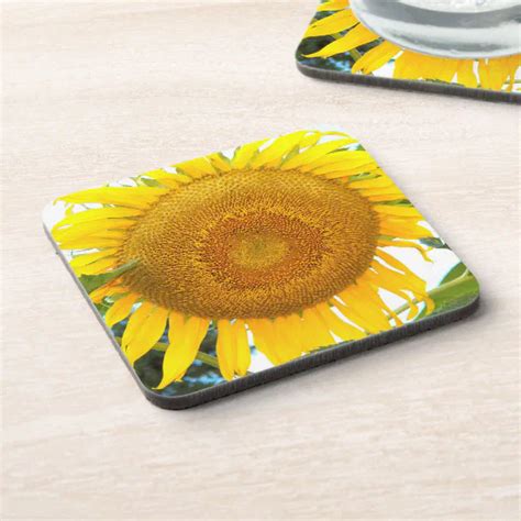 Large Yellow Sunflower Floral Beverage Coaster Zazzle