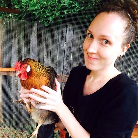 Backyard Chickens Learn How To Raise Chickens