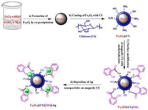 Catalysts Free Full Text Magnetic Chitosan Supported Silver