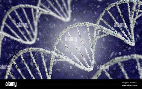 D Rendering Of Dna Double Helix Structures In Blue And White D