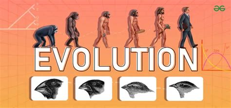 List Of Interesting Facts About Evolution Geeksforgeeks