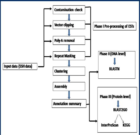 Pdf Suppression Subtractive Hybridization Ssh Combined With