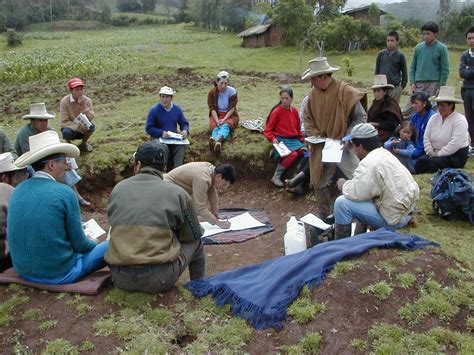 Late Blight Resistant Potato Holds Promise For Farmers In East Africa Annual Report 2017