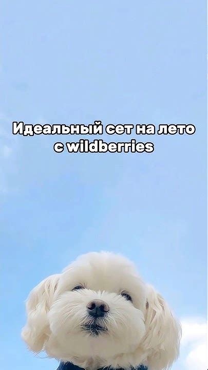 Идеальный сет на лето с ВБ #shorts - YouTube