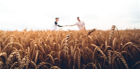 A Gay Farmer Documentary Instinct Magazine