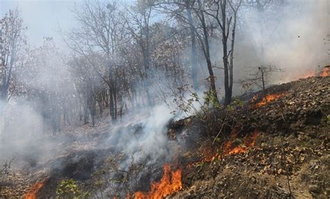 Arrasan Incendios Forestales M S De Mil Hect Reas En Hidalgo