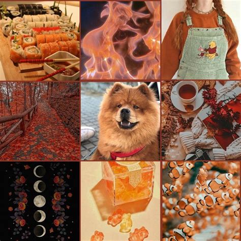 Moodboard Adopt Adotable Artofit