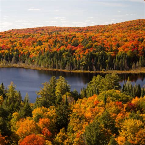 12 Best Hiking Trails In Algonquin Provincial Park PlanetWare Atelier