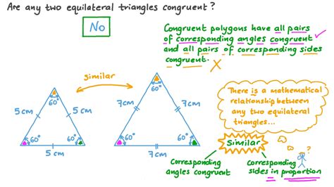 Different Types Of Triangles Video Practice 53 OFF