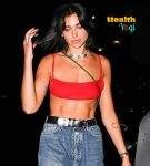 Dua Lipa Workout Routine And Diet Plan - Health Yogi