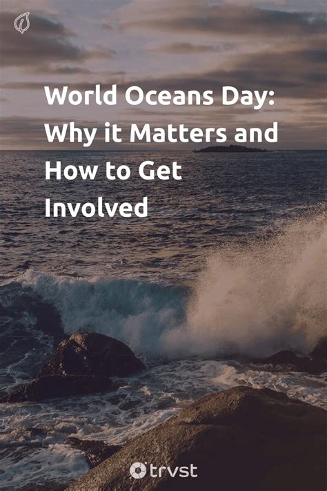 World Oceans Day: Why it Matters and How to Get Involved