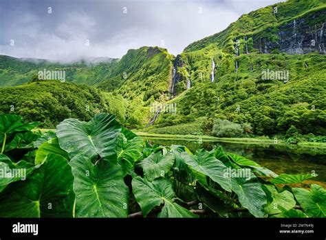 Waterfalls At Poco Da Ribeira Do Ferreiro A Nature Reserve In The