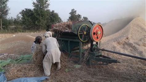 Belarus 510 Tractor Wheat Thresher Per Kamal Ki Performance Labour Ka Karaya Kitna Hay In Punjab