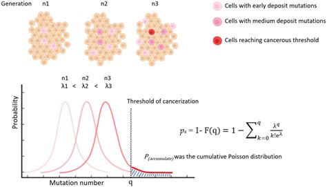 A Poisson Distribution Based General Model Of Cancer Rates And A Cancer Risk Dependent Theory Of