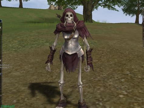 Создать мем "посох тайн л2, endless war lineage 2, заклинатель л2 ...