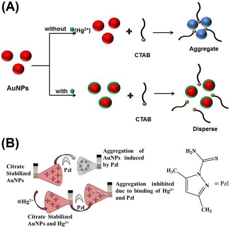 Chemosensors Free Full Text Review On Anti Aggregation Enabled