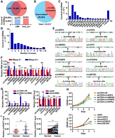 Circrna Profiling In A Luad Cells And Functional Screening Of