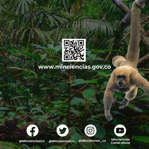 Minciencias Colombia On Twitter La Biodiversidad De Colombia Es