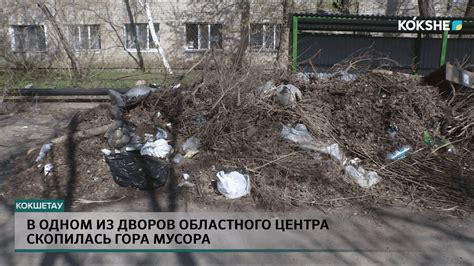 В одном из дворов областного центра скопилась гора мусора - YouTube
