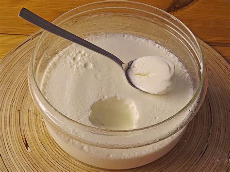 Joghurt Selbst Gemacht Ein Sehr Sch Nes Rezept Aus Der Kategorie