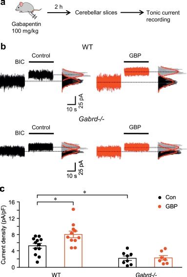 Gabapentin Increases Expression Of δ Subunit Containing Gabaa Receptors