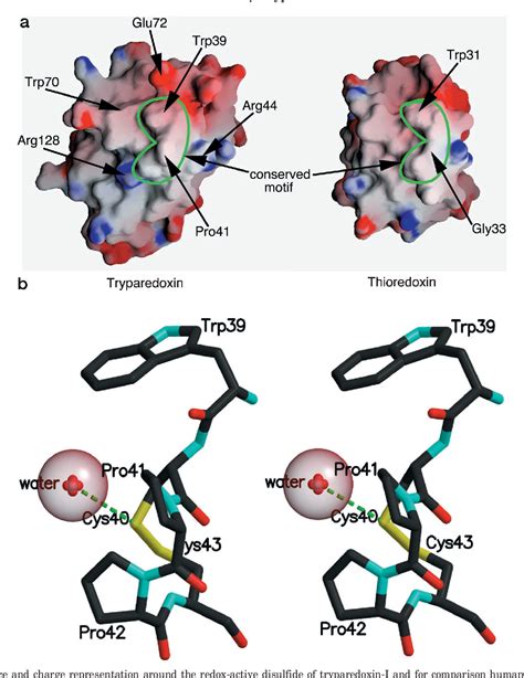 Figure 2 From The High Resolution Crystal Structure Of