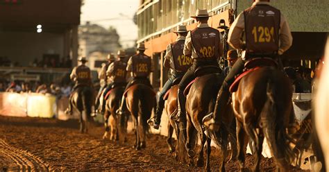 Exposi O Nacional Do Cavalo Mangalarga Marchador Apresenta