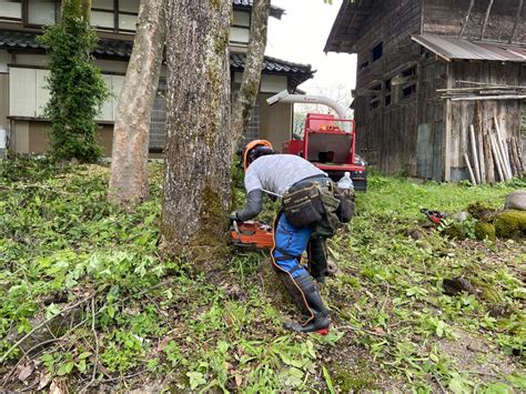 特殊伐採 株式会社なかの林業 石川県 林業 庭木 伐採 除草