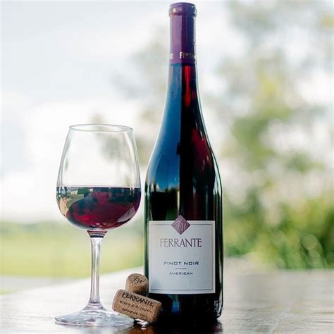 Pinot Noir Facts Tasting Notes And Health Benefits 44 OFF