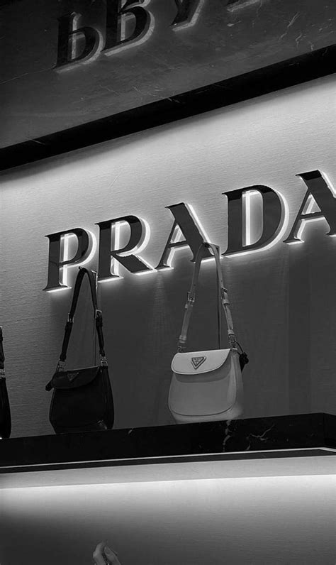 Pin by Carlagalicia on Guardado rápido Prada aesthetic Prada gifts