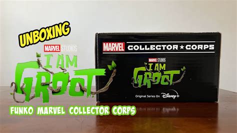 Unboxing Funko Marvel Collector Corps I Am Groot Youtube